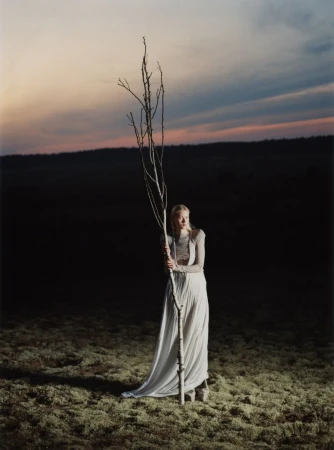 Woman in long white dress holding a bare tree branch in a field at dusk. Ethereal fashion portrait with moody lighting and rural landscape.