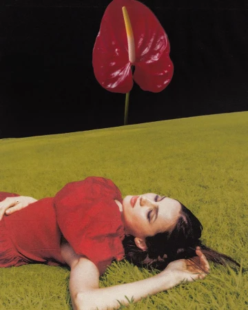 Maude Apatow in a red dress lying on a green field under a giant anthurium flower and black sky.