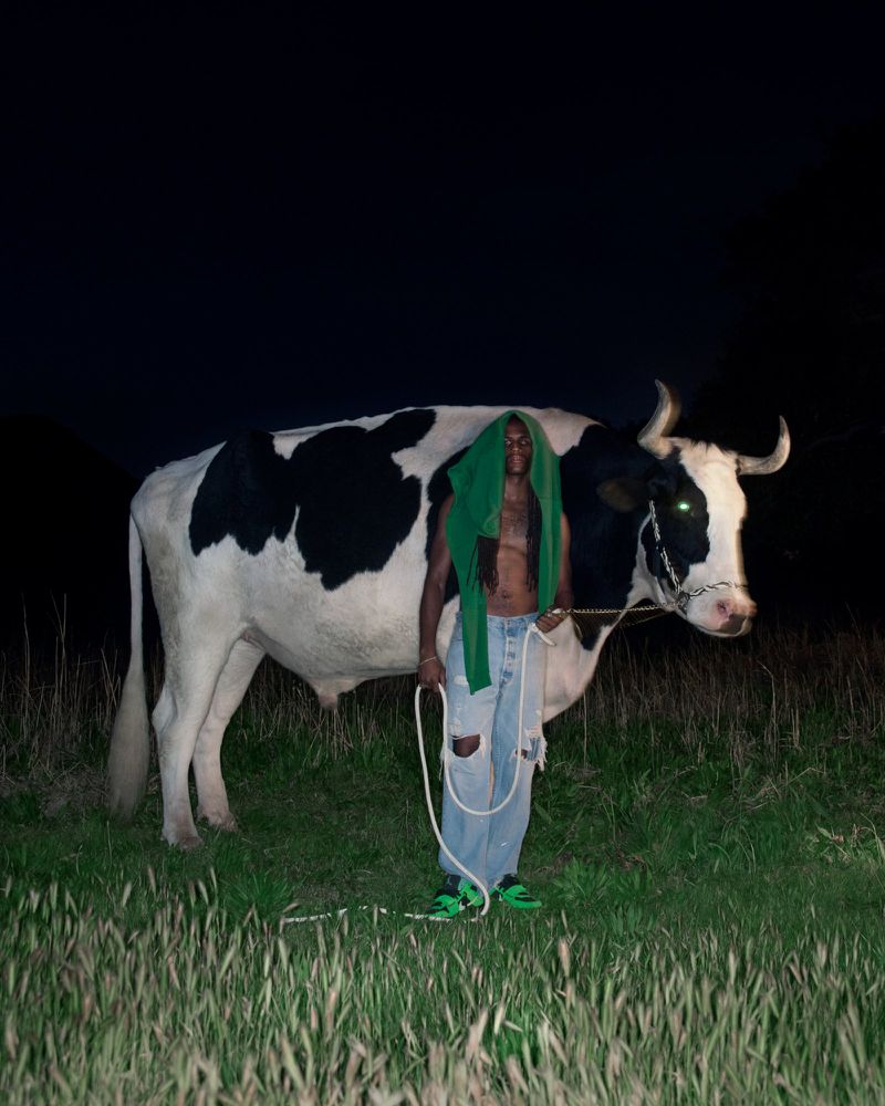 Man standing in a grassy field at night beside a black and white cow holding a rope leash for the Nike Jumpman and Cactus Jack project.