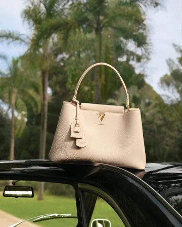 Beige leather Louis Vuitton handbag resting on the roof of a black car with palm trees in the background.