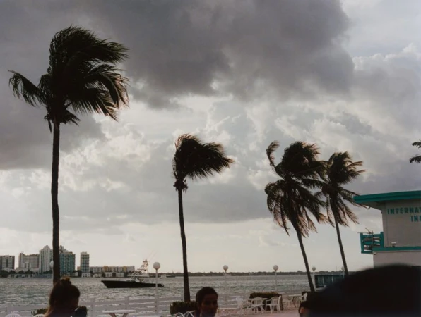 Wind-swept palm trees under heavy storm clouds with distant buildings and a boat on water in Vogue Czechoslovakia