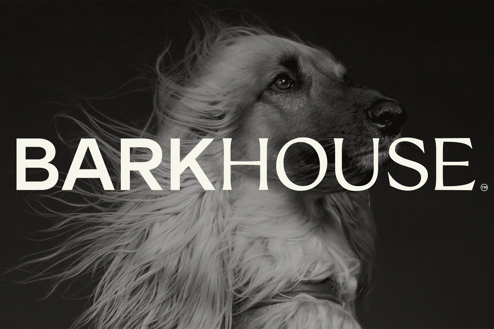 Black and white portrait of a long-haired dog with windblown fur set against a dark background with white brand typography.