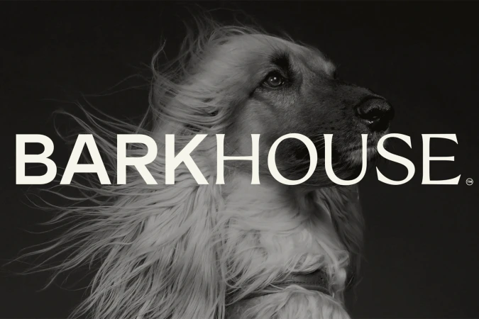 Black and white portrait of a long-haired dog with windblown fur set against a dark background with white brand typography.
