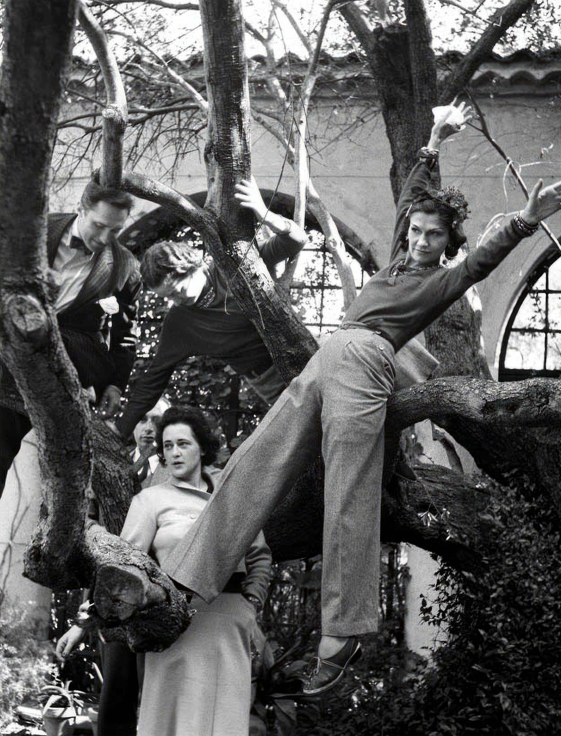 Monochrome image of multiple people climbing and posing in a large tree with an architectural building exterior in the background