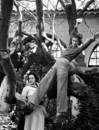 Monochrome image of multiple people climbing and posing in a large tree with an architectural building exterior in the background