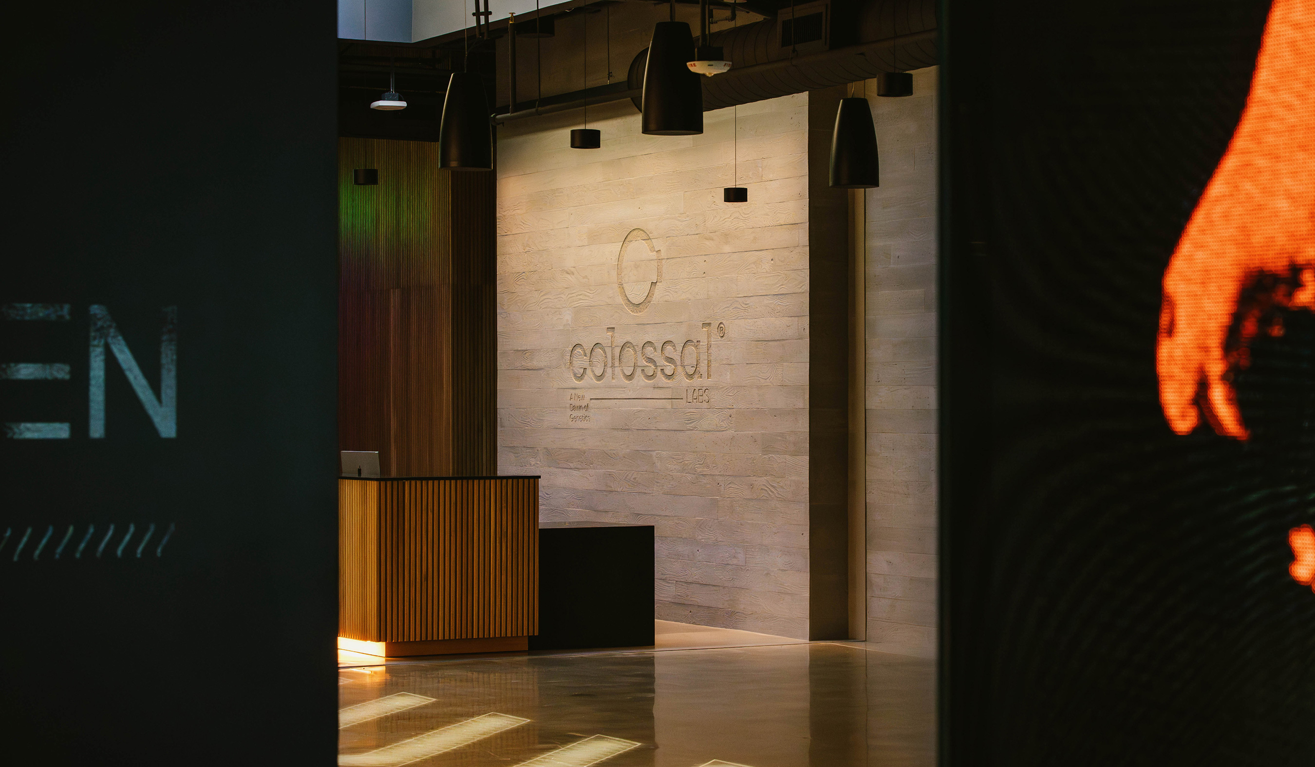 Colossal Labs corporate office reception desk with stone accent wall and company logo under modern pendant lighting.