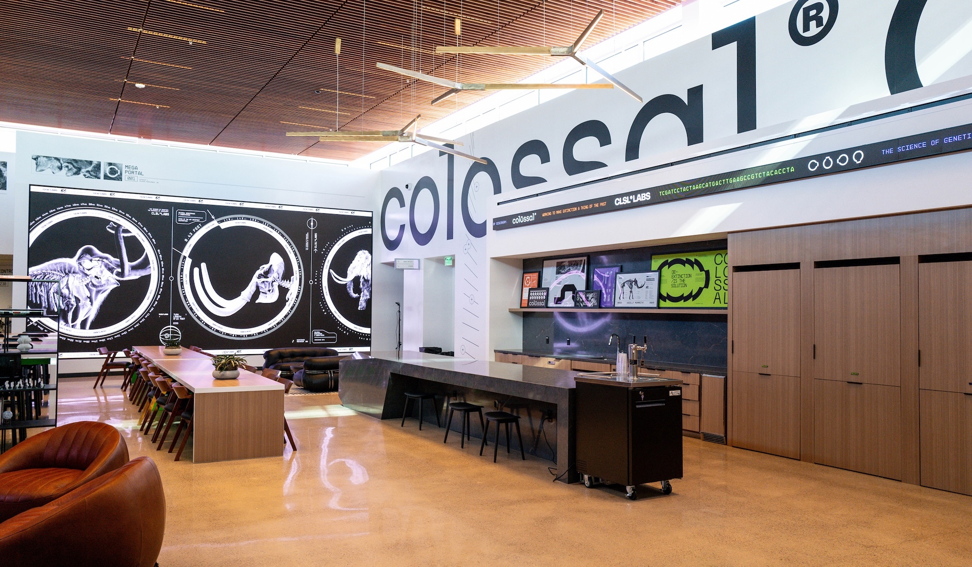 Modern corporate interior featuring large brand lettering, long communal wooden table, and polished concrete floor.
