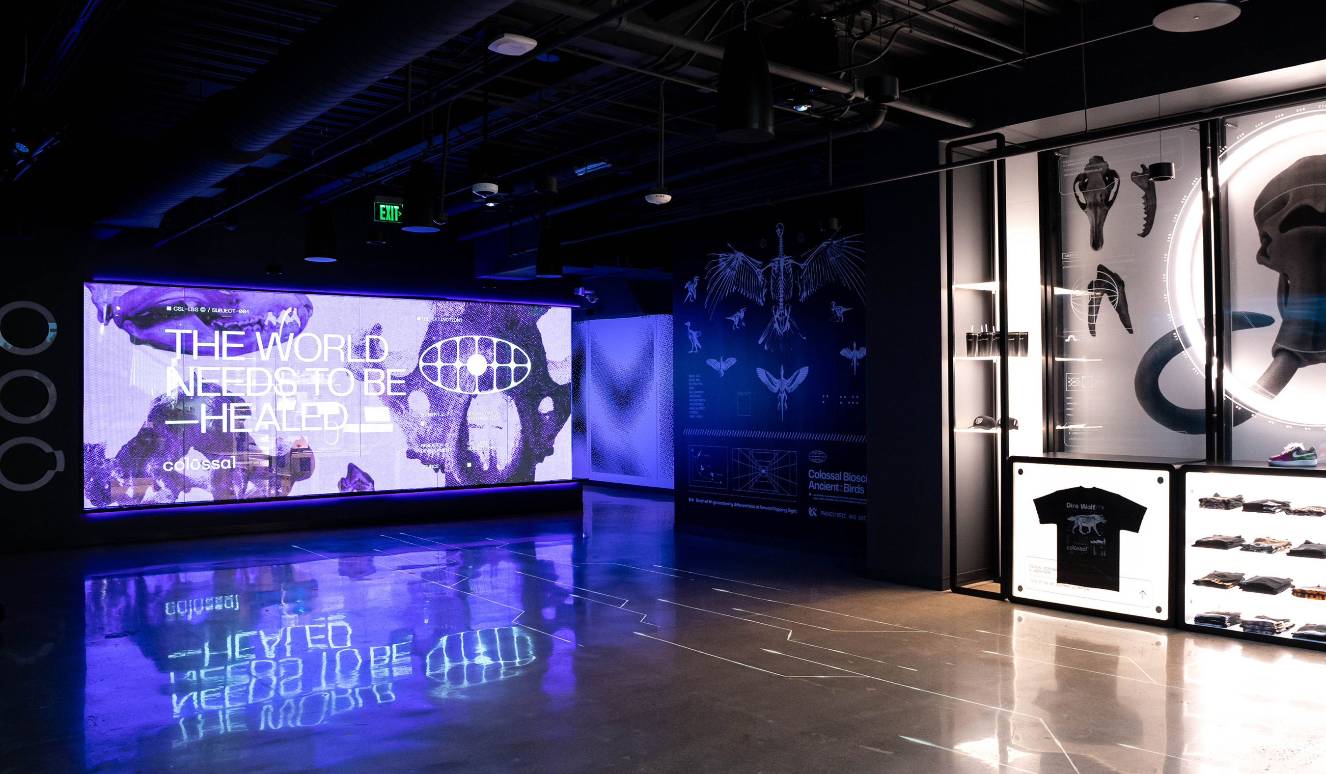 Interior view of Colossal Dallas HQ featuring a large illuminated display wall and sleek modern architectural lighting.