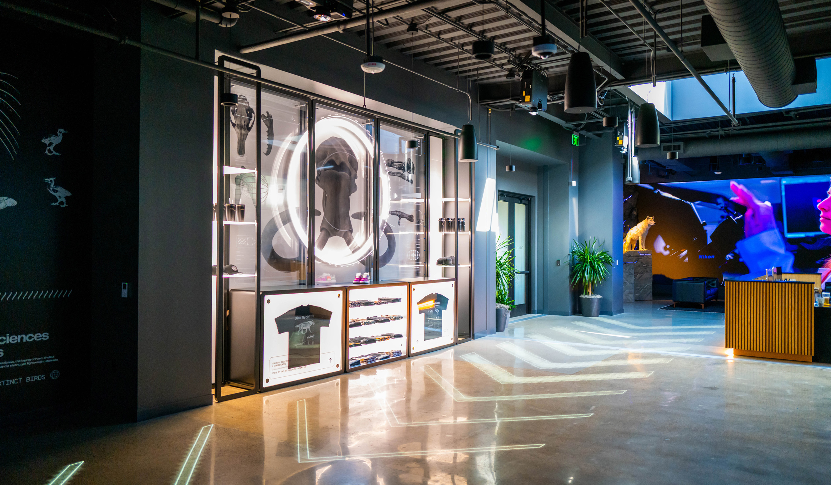 Modern interior of Colossal Dallas HQ featuring sleek display shelving, polished concrete floors with glowing light patterns, and a reception area.