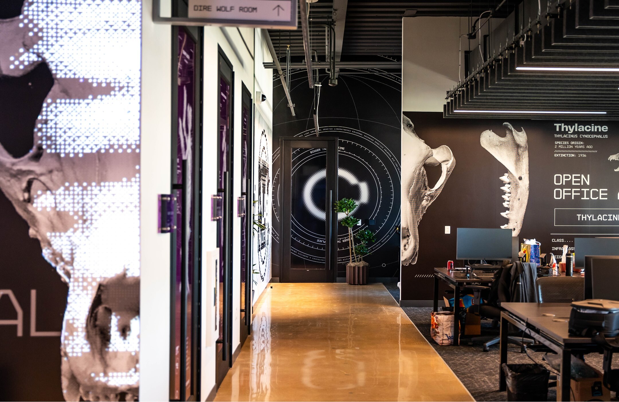 Office hallway with graphic walls, doors, desks, computers, and glossy floor.