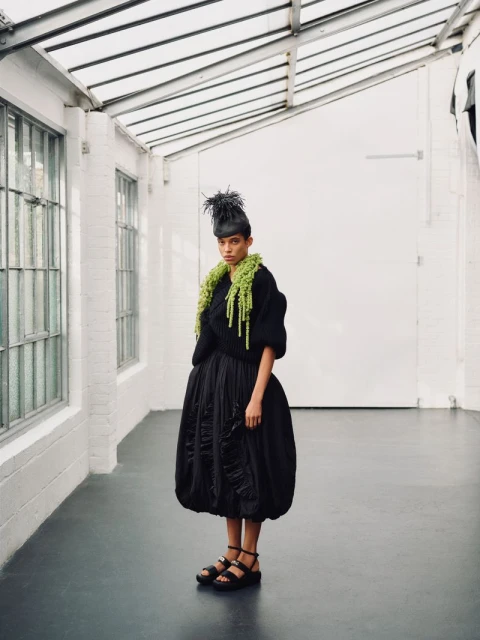 Black Orchid