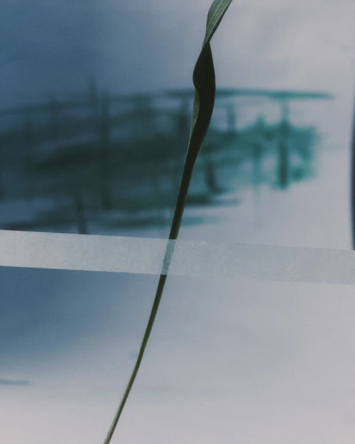 Frames