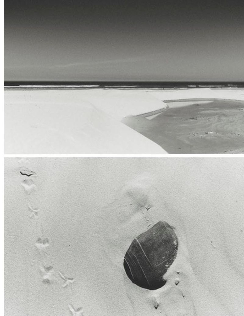 Black and white split photograph showing a wide coastal beach landscape and a close-up of a smooth dark stone in sand with bird tracks.