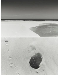 Black and white split photograph showing a wide coastal beach landscape and a close-up of a smooth dark stone in sand with bird tracks.