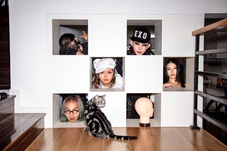 Group of people posing in square wall cubbies with a tabby cat on a wooden floor, photographed by Feng Li.