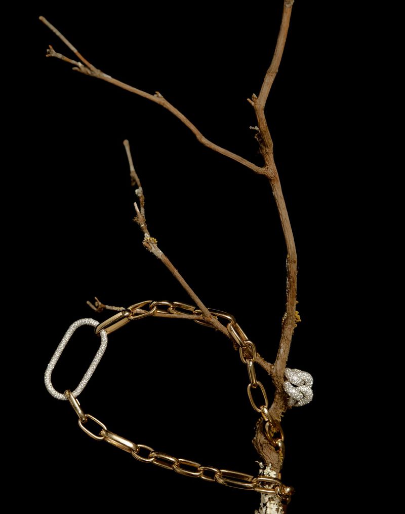 Still life of a gold chain necklace draped on a tree branch against a stark black backdrop, showcasing jewelry design and nature elements.