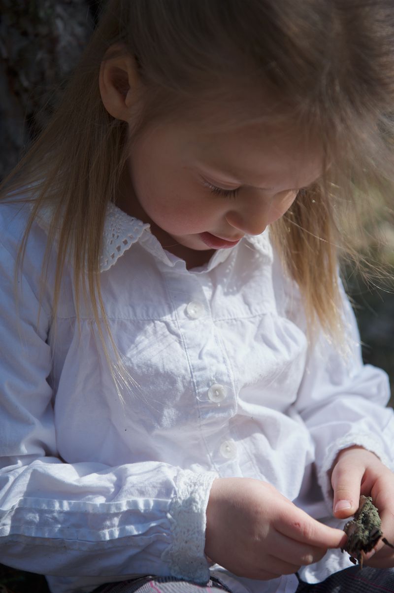 Close-up of a blonde-haired child in a white shirt examining a small object outdoors, with a tree in the soft-focus background.