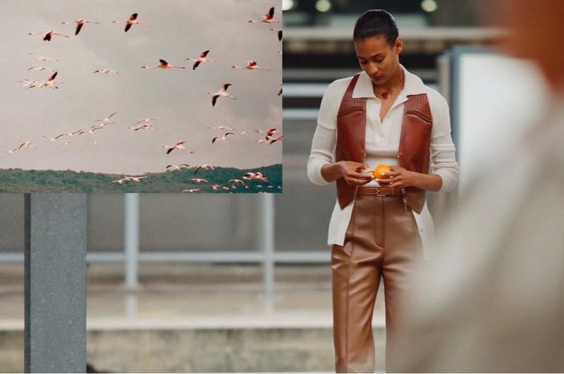 Fashionable woman holds fruit against a background of abstract flamingo flock artwork in a minimalist, modern setting.