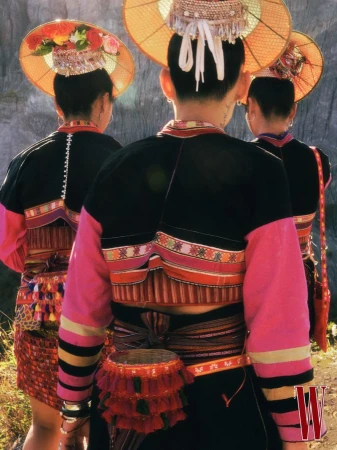 Louis Vuitton x W CNY
