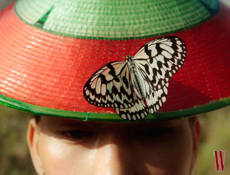 Close-up of a butterfly with black and white patterned wings resting on a red and green woven hat worn by a person.