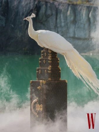 A white peacock perched atop a stack of monogrammed luxury trunks surrounded by mist against a rocky backdrop.