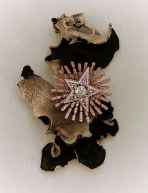 An ornate star-shaped brooch with pink and white gemstones resting upon dark organic fungus against a neutral textured background