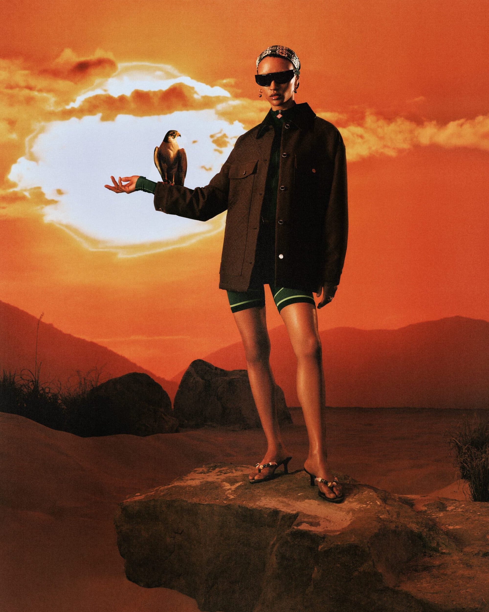 Model wearing dark sunglasses and a brown jacket standing on a rock holding a falcon against a sunset sky