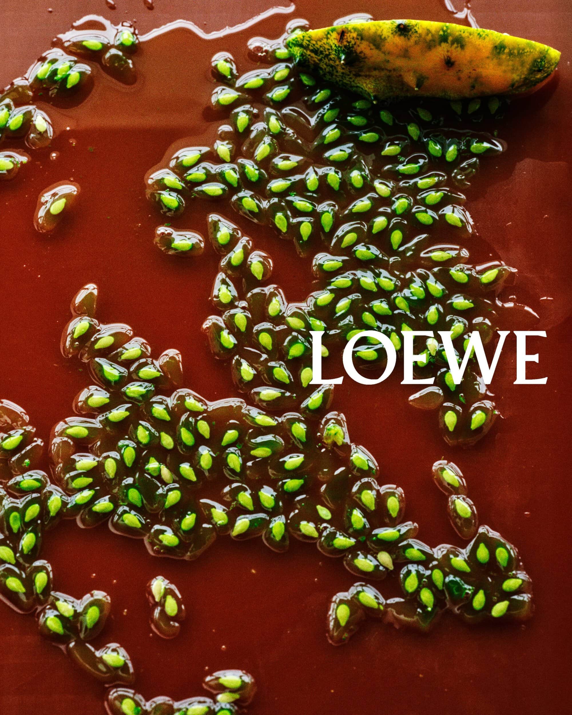 Close-up of bright green seeds scattered across a rich brown gel surface with a slice of melon at the top right.