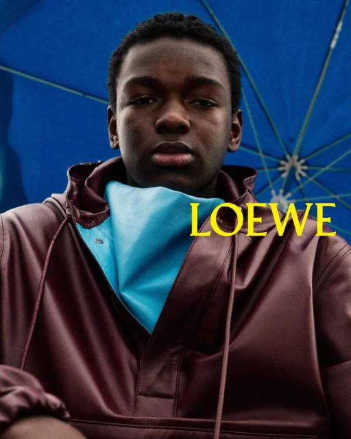 Loewe Fall/Winter 2026 Precollection