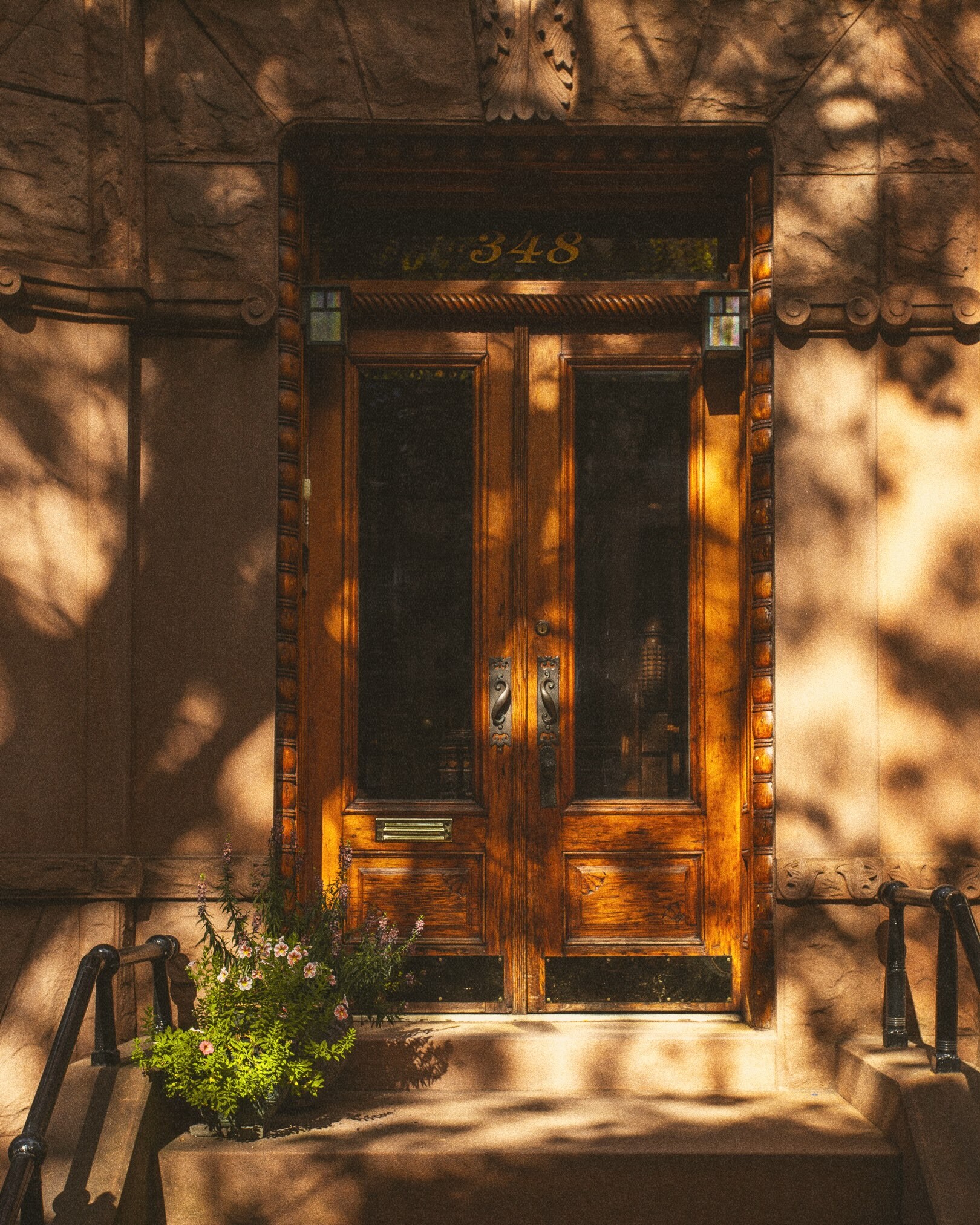 Close-up of wooden double doors on a brownstone building with potted plants on the concrete steps and warm sunlight shadows.