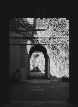 Monochrome architectural view framed by dark columns looking out onto a sunlit courtyard with ivy-covered walls.