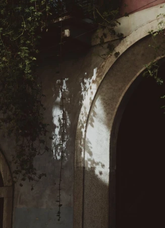 Architectural detail of an arched wall with dappled sunlight and hanging vines captured for ICON Magazine Mena.