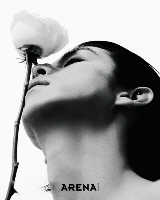 PIECES Spring Fragments