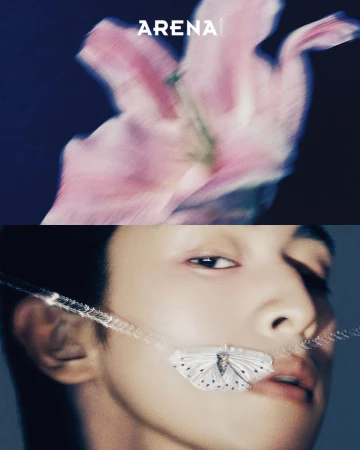 PIECES Spring Fragments
