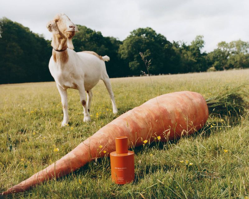 An orange Jo Malone perfume bottle beside a giant carrot in a grassy field with a white goat standing behind them.