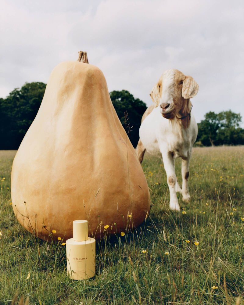 Jo Malone perfume bottle resting in grass in front of an oversized butternut squash prop with a standing goat nearby.