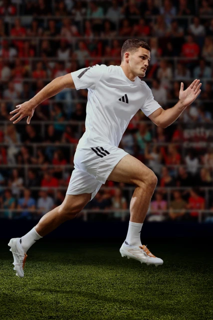 Preditor V F50