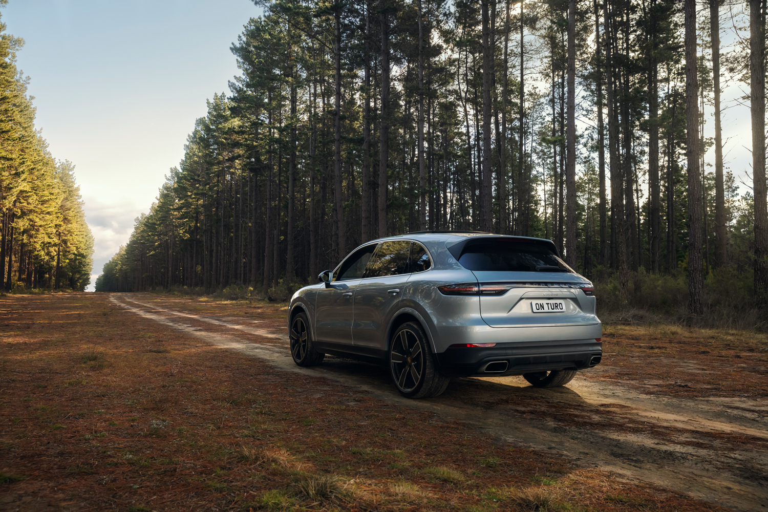 Silver luxury SUV parked on a dirt path surrounded by tall pine trees with a license plate reading ON TURO.
