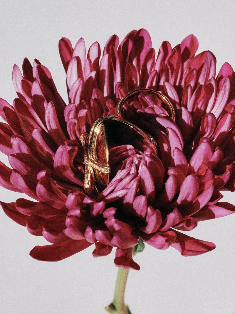 Gold fine jewelry rings nestled within the vibrant magenta petals of a blooming chrysanthemum flower on a pale background.