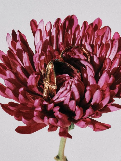 Play Mood Edit: Dior Special