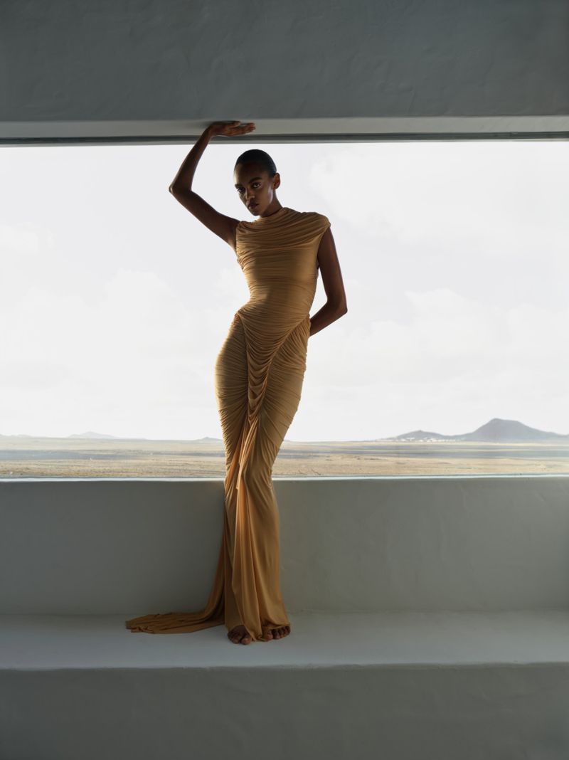 Model Bebe Parnell in a ruched draped tan gown posing against a panoramic window overlooking a desert landscape.