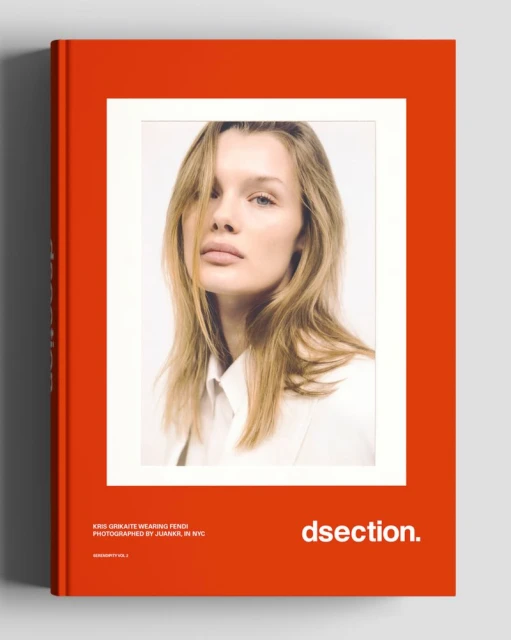 DSECTION Serendipity Vol. 2 2026 Covers