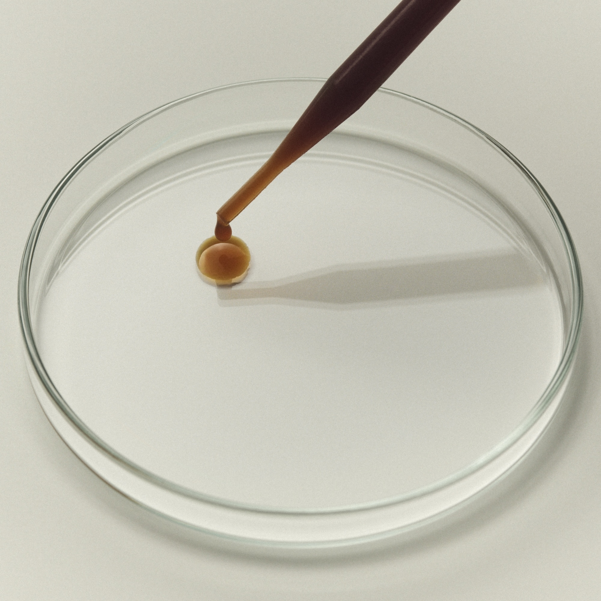 Glass pipette dispensing an amber liquid droplet into a small container inside a clear Petri dish against a pale background.
