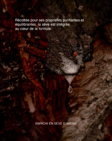Close-up of textured tree bark with white frothy sap forming a droplet, featuring French skincare marketing copy for Sève.