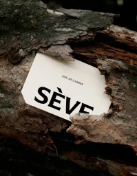 Cream-colored Sève brand card with black typography nestled inside the rough textured bark of a weathered tree trunk.