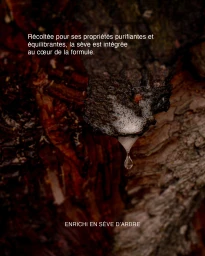 Close-up of textured tree bark with white frothy sap forming a droplet, featuring French skincare marketing copy for Sève.