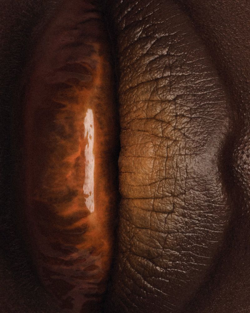 Extreme close-up of vertically oriented lips featuring high-gloss amber pigment on one side and textured matte brown on the other.