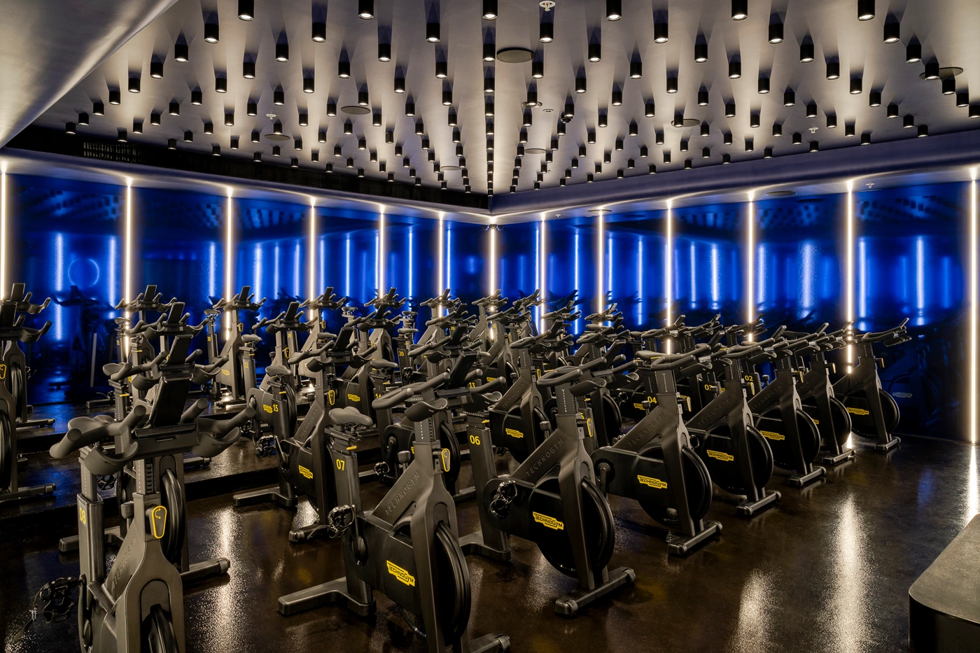 Rows of stationary indoor cycling bikes in a dark spin studio with blue neon wall lighting and ceiling spotlights.
