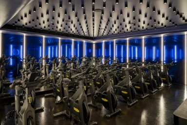 Rows of stationary indoor cycling bikes in a dark spin studio with blue neon wall lighting and ceiling spotlights.