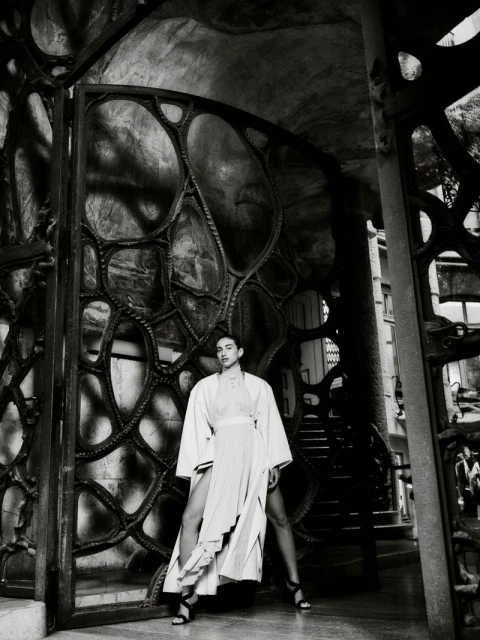 The Gaudi Issue